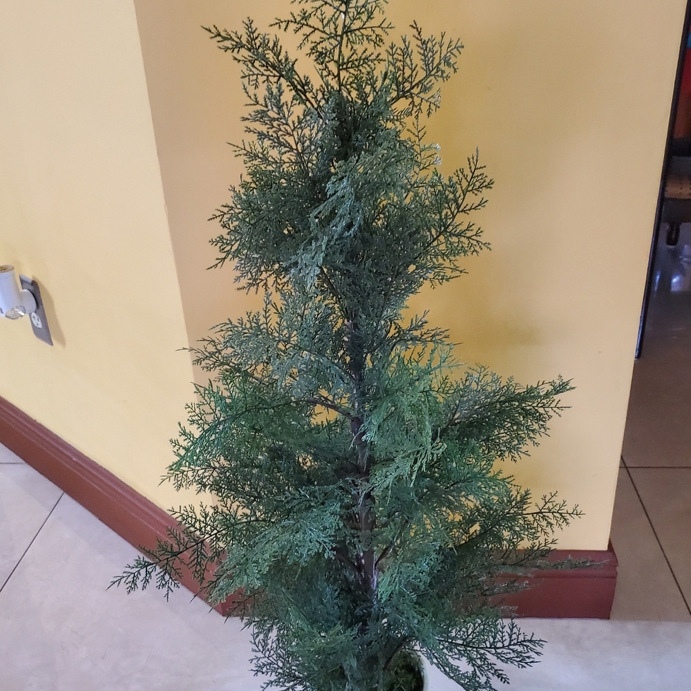 Fake Plant - Picture 6 of 6